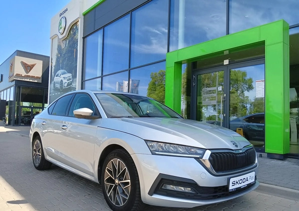 Skoda Octavia cena 89900 przebieg: 115965, rok produkcji 2020 z Prószków małe 529